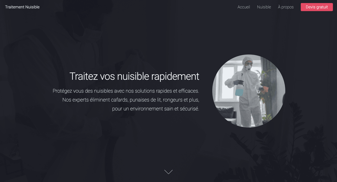 Page d'accueil traitement nuisible